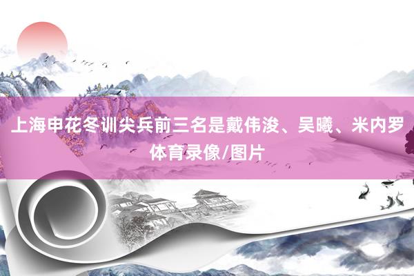 上海申花冬训尖兵前三名是戴伟浚、吴曦、米内罗体育录像/图片
