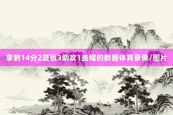 拿到14分2篮板3助攻1盖帽的数据体育录像/图片