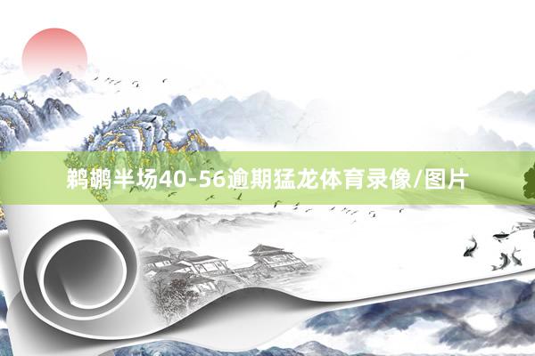 鹈鹕半场40-56逾期猛龙体育录像/图片