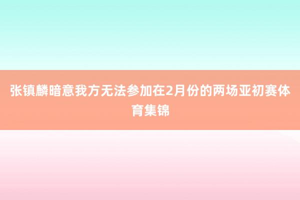 张镇麟暗意我方无法参加在2月份的两场亚初赛体育集锦