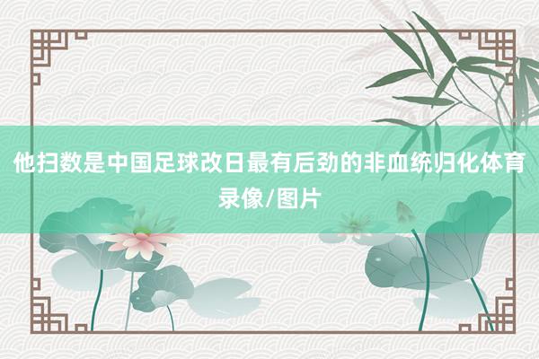 他扫数是中国足球改日最有后劲的非血统归化体育录像/图片