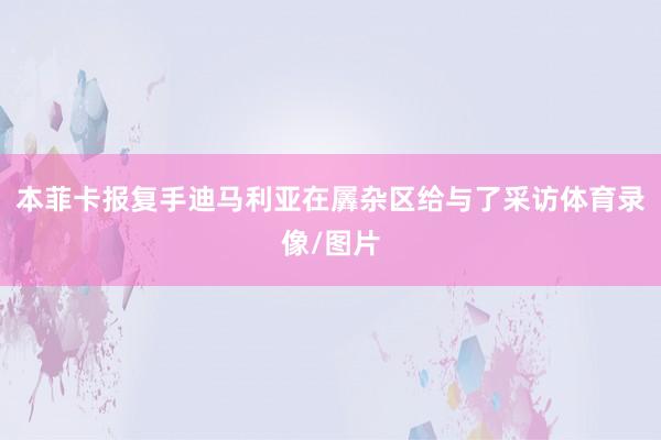 本菲卡报复手迪马利亚在羼杂区给与了采访体育录像/图片