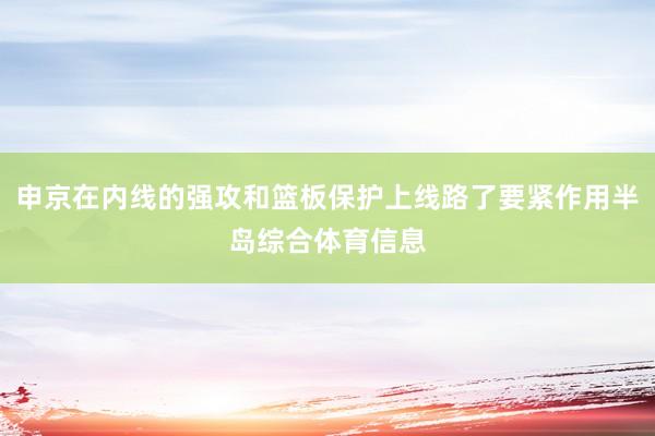 申京在内线的强攻和篮板保护上线路了要紧作用半岛综合体育信息