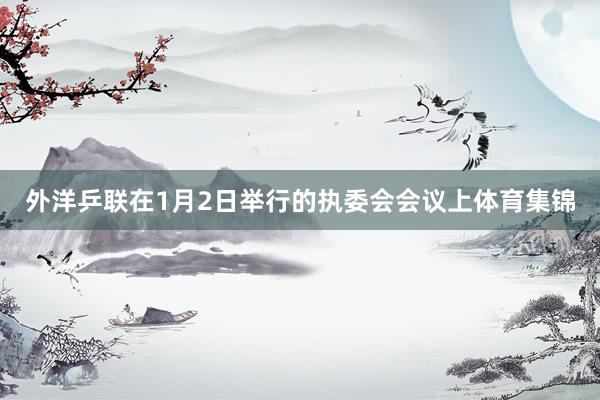 外洋乒联在1月2日举行的执委会会议上体育集锦