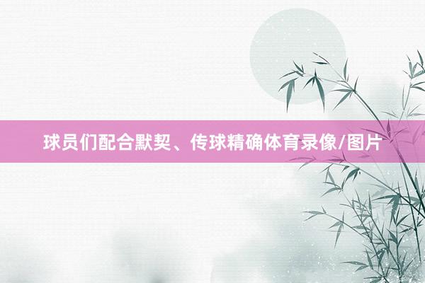 球员们配合默契、传球精确体育录像/图片