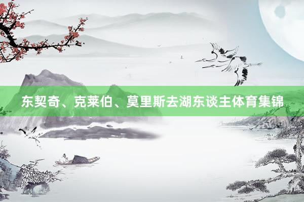 东契奇、克莱伯、莫里斯去湖东谈主体育集锦