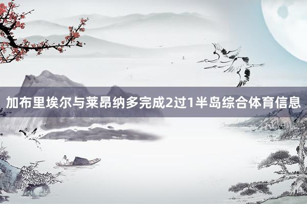 加布里埃尔与莱昂纳多完成2过1半岛综合体育信息
