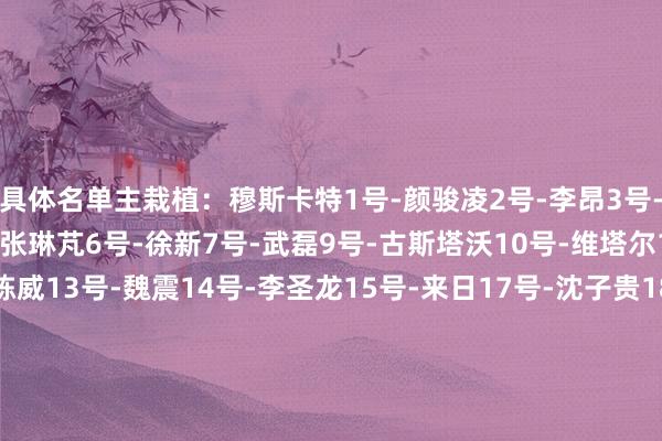 具体名单主栽植：穆斯卡特1号-颜骏凌2号-李昂3号-蒋光太4号-王燊超5号-张琳芃6号-徐新7号-武磊9号-古斯塔沃10号-维塔尔11号-吕文君12号-陈威13号-魏震14号-李圣龙15号-来日17号-沈子贵18号-艾菲尔丁19号-王振澳20号-杨世元22号-茹萨23号-傅欢25号-杜佳26号-刘若钒27号-冯劲30号-加布里埃尔32号-李帅36号-阿布拉汗40号-吾米提江45号-莱昂纳多47号-