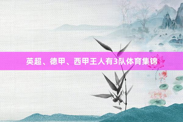 英超、德甲、西甲王人有3队体育集锦