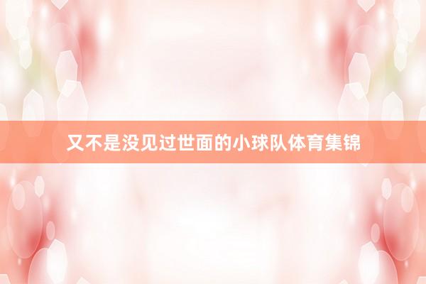 又不是没见过世面的小球队体育集锦