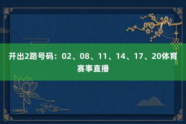 开出2路号码：02、08、11、14、17、20体育赛事直播