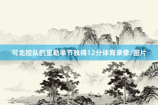 可北控队的里勒单节独得12分体育录像/图片