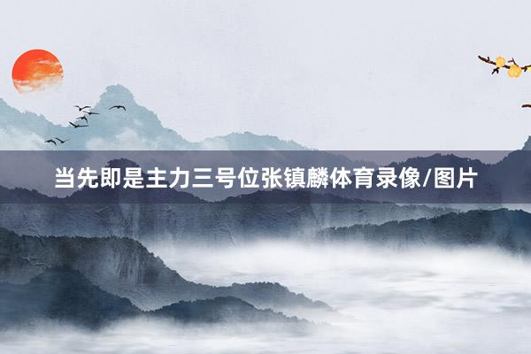 当先即是主力三号位张镇麟体育录像/图片