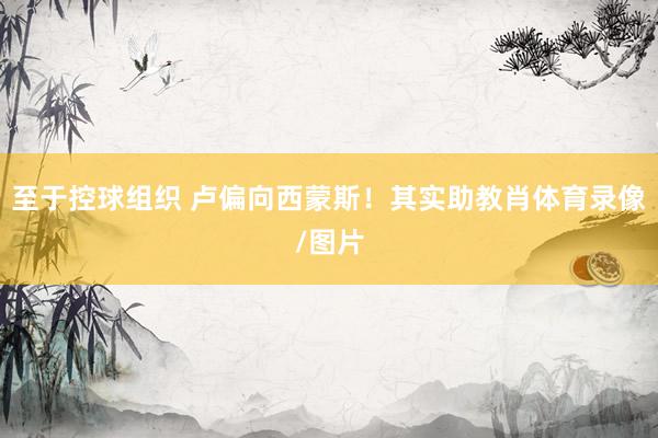 至于控球组织 卢偏向西蒙斯！其实助教肖体育录像/图片