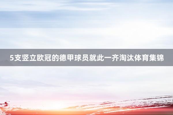 5支竖立欧冠的德甲球员就此一齐淘汰体育集锦