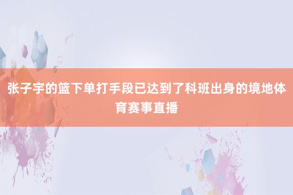 张子宇的篮下单打手段已达到了科班出身的境地体育赛事直播