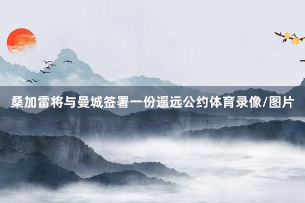 桑加雷将与曼城签署一份遥远公约体育录像/图片