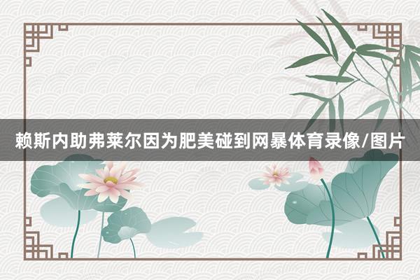 赖斯内助弗莱尔因为肥美碰到网暴体育录像/图片