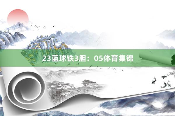 23　　蓝球铁3胆：05体育集锦