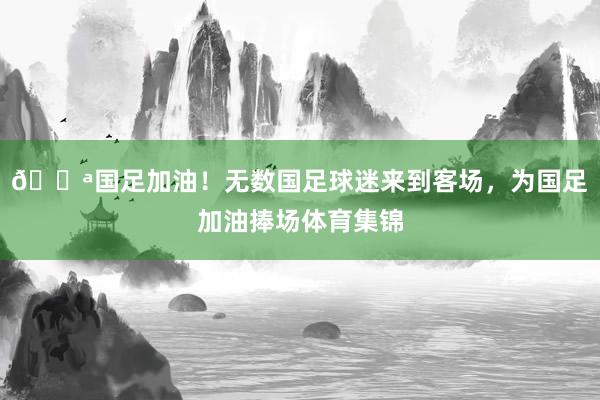 💪国足加油！无数国足球迷来到客场，为国足加油捧场体育集锦