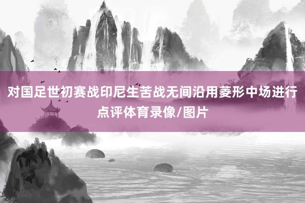 对国足世初赛战印尼生苦战无间沿用菱形中场进行点评体育录像/图片