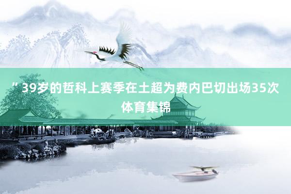”39岁的哲科上赛季在土超为费内巴切出场35次体育集锦
