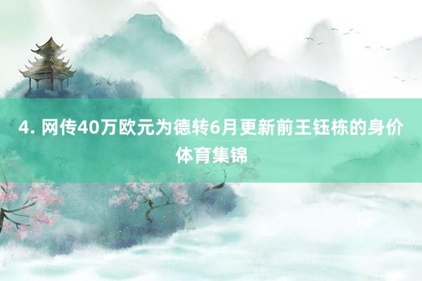 4. 网传40万欧元为德转6月更新前王钰栋的身价体育集锦