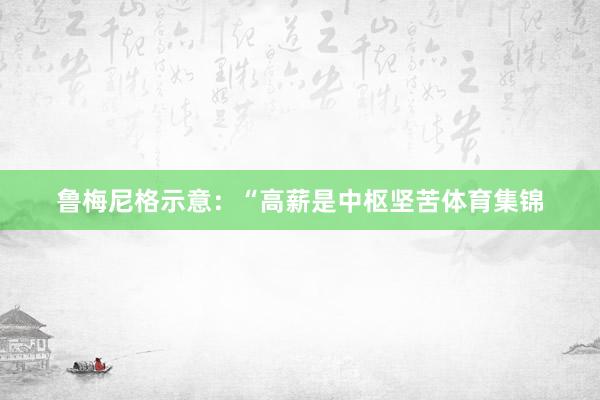 鲁梅尼格示意：“高薪是中枢坚苦体育集锦