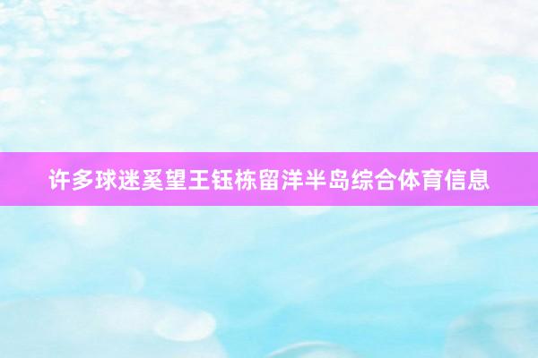 许多球迷奚望王钰栋留洋半岛综合体育信息