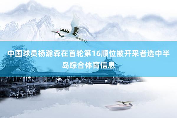 中国球员杨瀚森在首轮第16顺位被开采者选中半岛综合体育信息