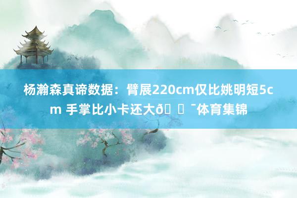 杨瀚森真谛数据：臂展220cm仅比姚明短5cm 手掌比小卡还大😯体育集锦