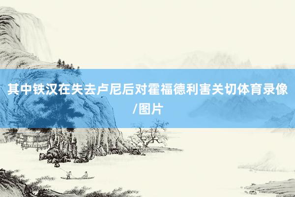 其中铁汉在失去卢尼后对霍福德利害关切体育录像/图片