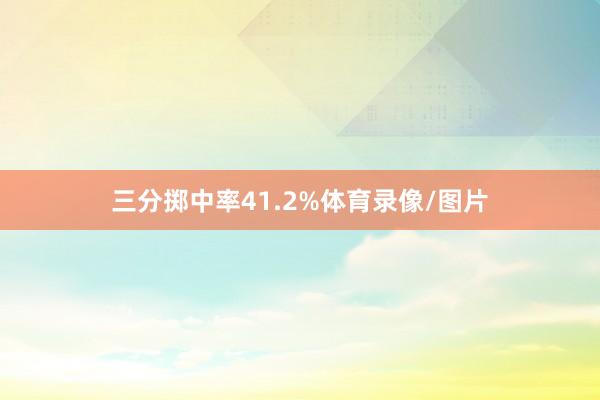 三分掷中率41.2%体育录像/图片