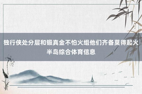 独行侠处分层和锻真金不怕火组他们齐备莫得起火半岛综合体育信息