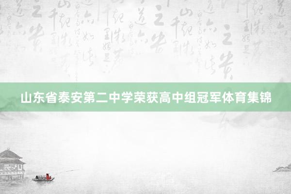 山东省泰安第二中学荣获高中组冠军体育集锦
