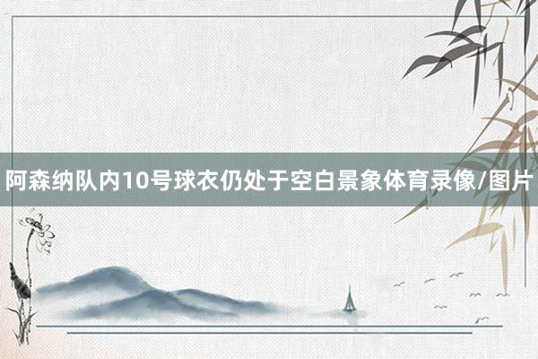 阿森纳队内10号球衣仍处于空白景象体育录像/图片