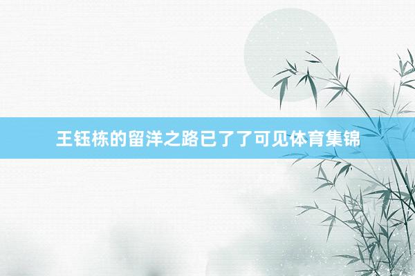 王钰栋的留洋之路已了了可见体育集锦