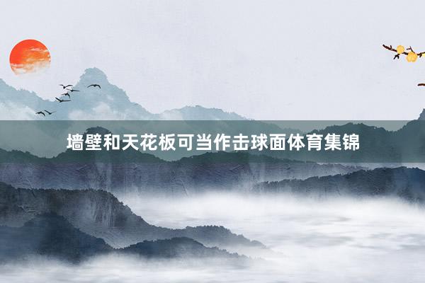 墙壁和天花板可当作击球面体育集锦