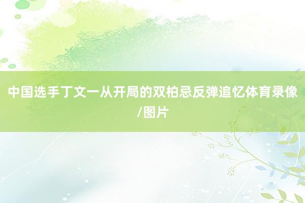 中国选手丁文一从开局的双柏忌反弹追忆体育录像/图片