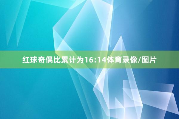 红球奇偶比累计为16:14体育录像/图片