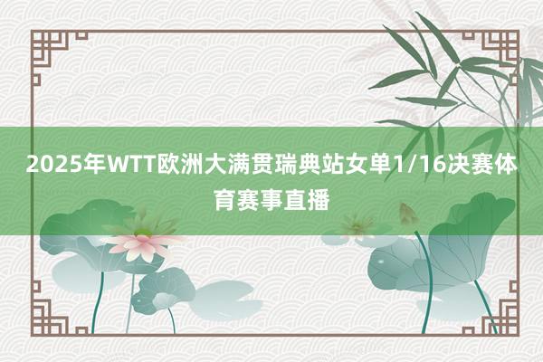 2025年WTT欧洲大满贯瑞典站女单1/16决赛体育赛事直播