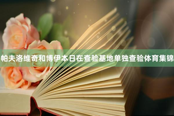 帕夫洛维奇和博伊本日在查验基地单独查验体育集锦