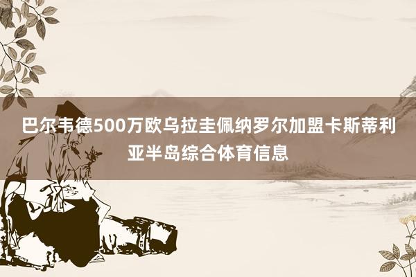 巴尔韦德500万欧乌拉圭佩纳罗尔加盟卡斯蒂利亚半岛综合体育信息