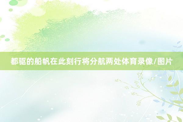 都驱的船帆在此刻行将分航两处体育录像/图片