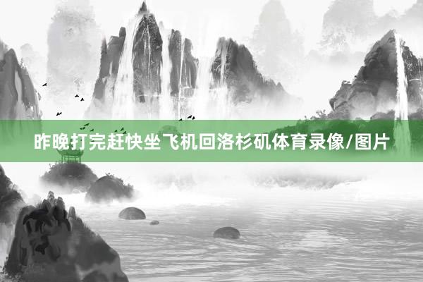 昨晚打完赶快坐飞机回洛杉矶体育录像/图片