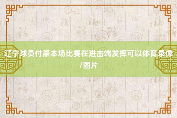 辽宁球员付豪本场比赛在进击端发挥可以体育录像/图片