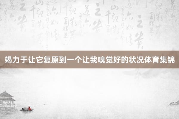 竭力于让它复原到一个让我嗅觉好的状况体育集锦