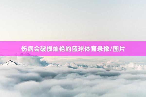 伤病会破损灿艳的篮球体育录像/图片