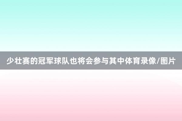 少壮赛的冠军球队也将会参与其中体育录像/图片
