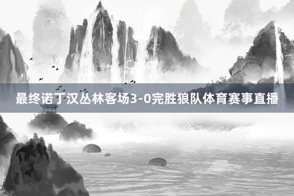 最终诺丁汉丛林客场3-0完胜狼队体育赛事直播